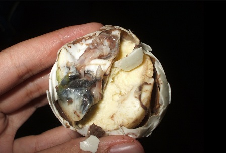 balut